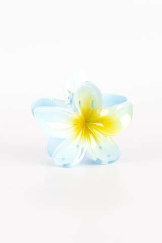 Blauwe en Gele Primula Bloemclip